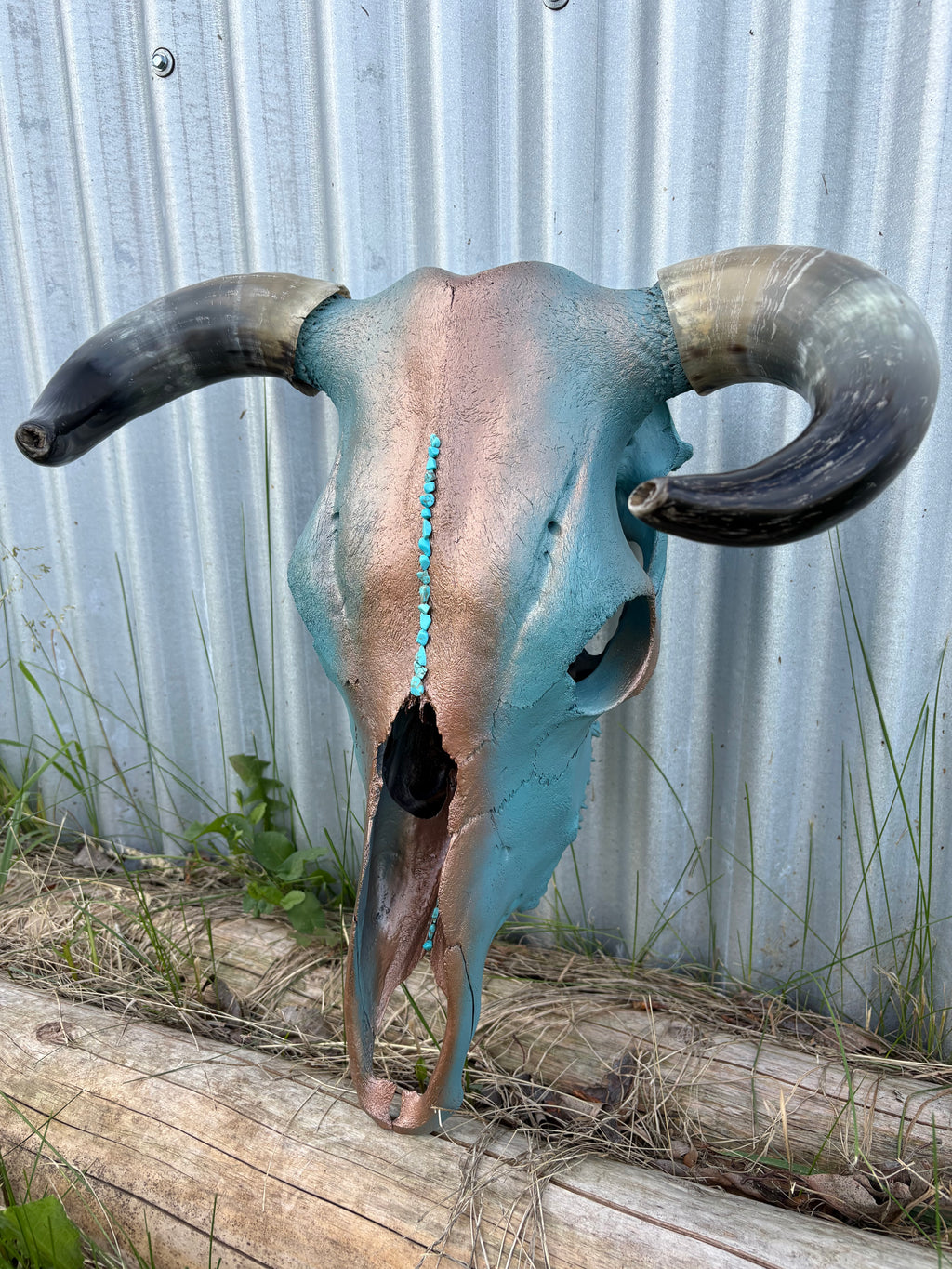 ￼Turquoise and Copper Steer
