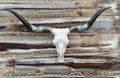 Ivory Pearl Longhorn