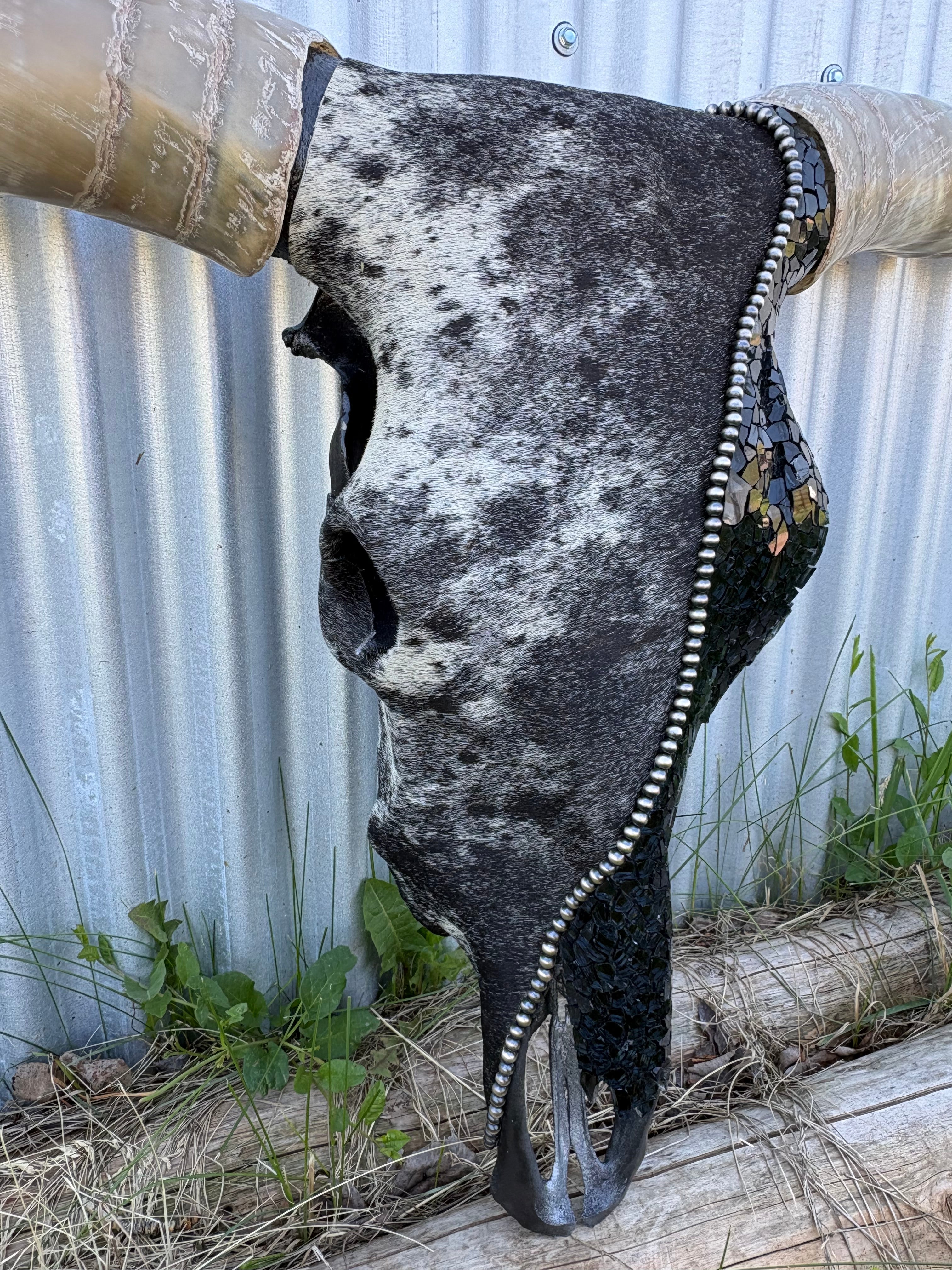 Blue Roan and Glass Longhorn