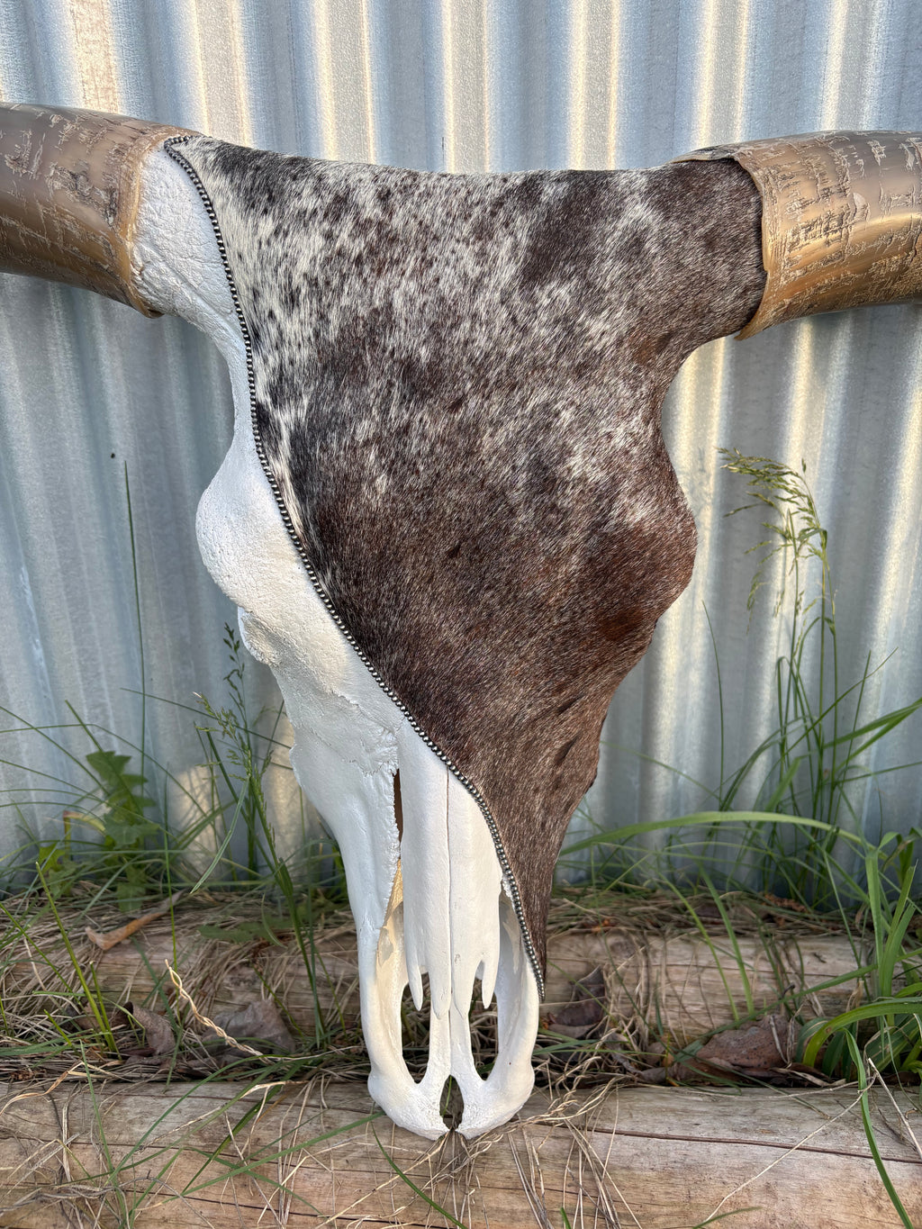 Red Roan Longhorn