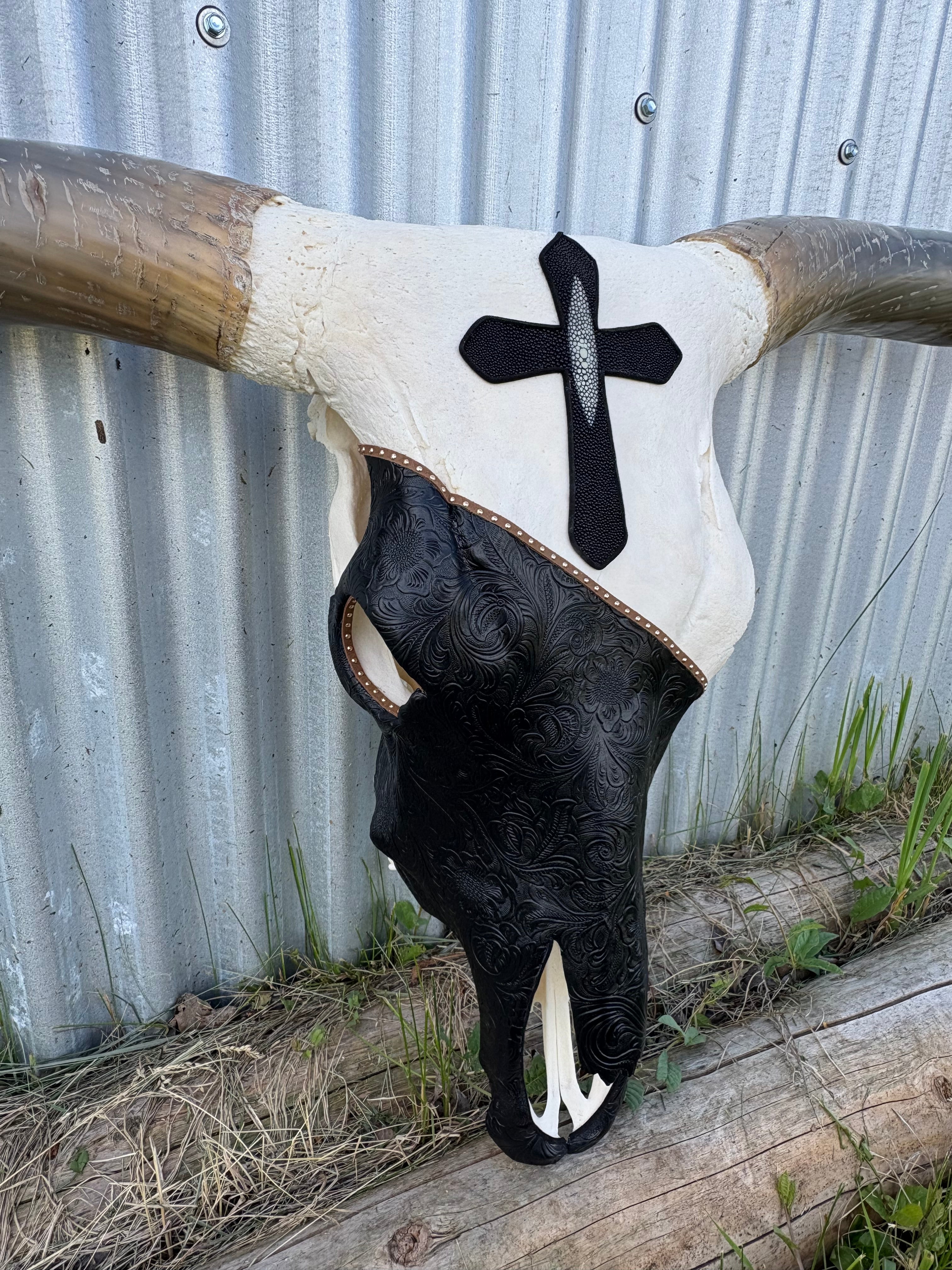Black and White Longhorn