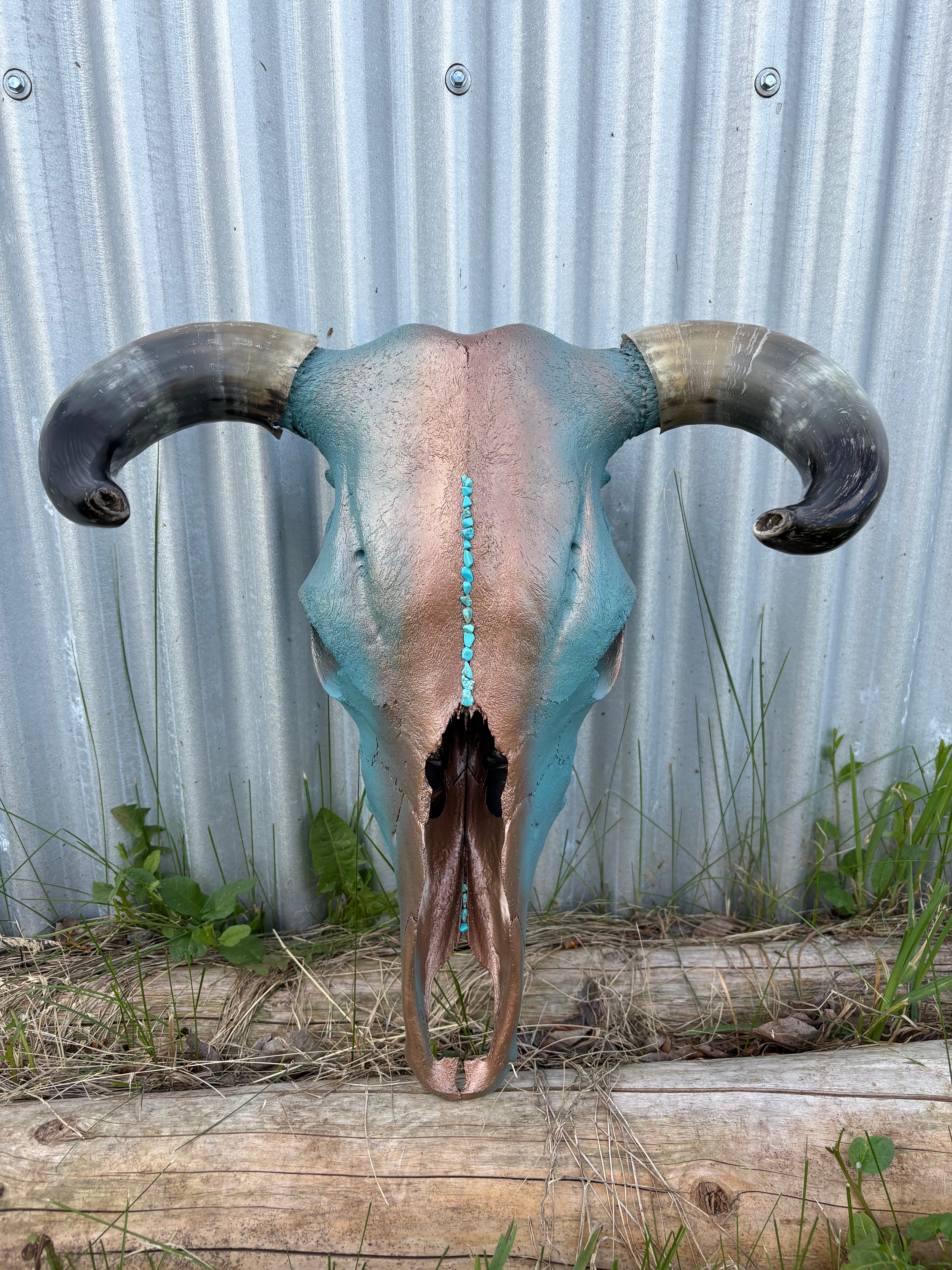 ￼Turquoise and Copper Steer