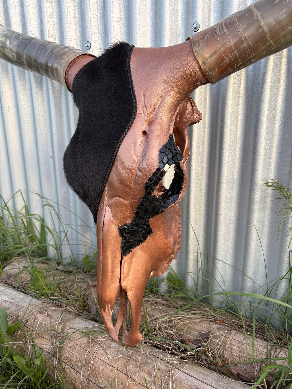 Black and Copper Longhorn
