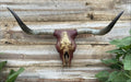 Maroon & Gold Longhorn