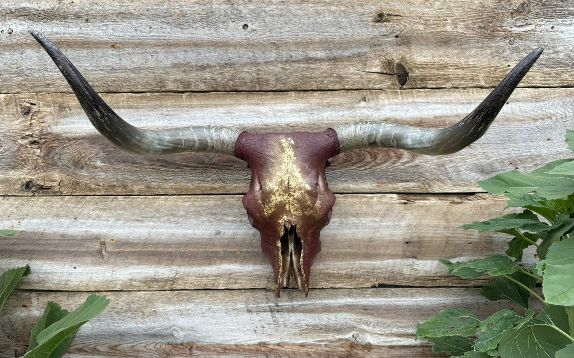 Maroon & Gold Longhorn