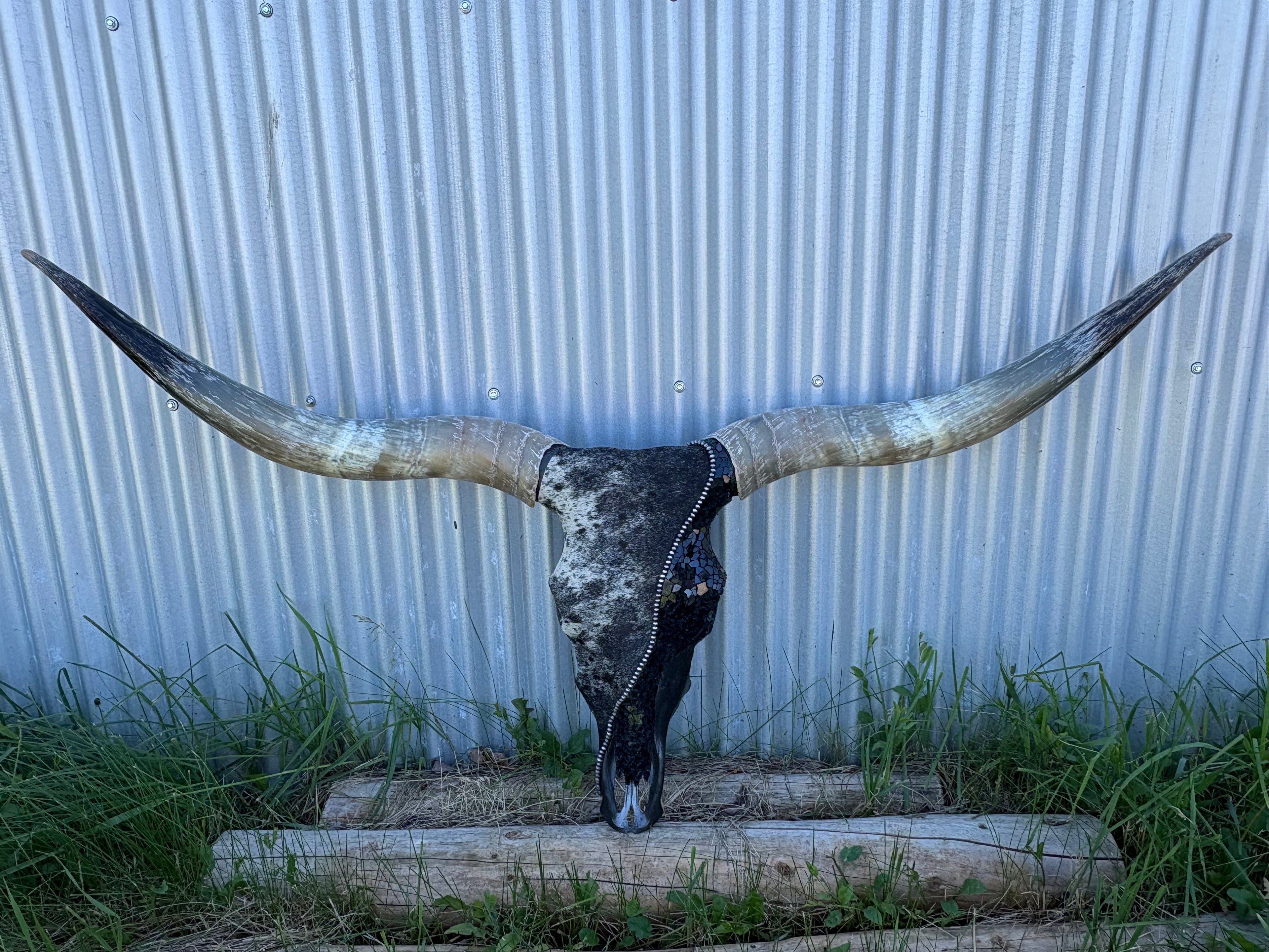 Blue Roan and Glass Longhorn