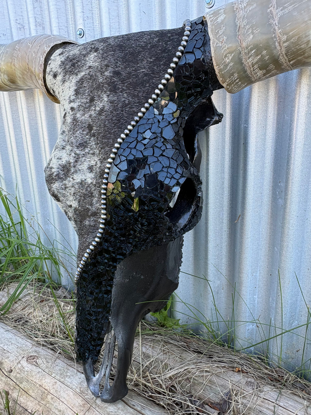 Blue Roan and Glass Longhorn