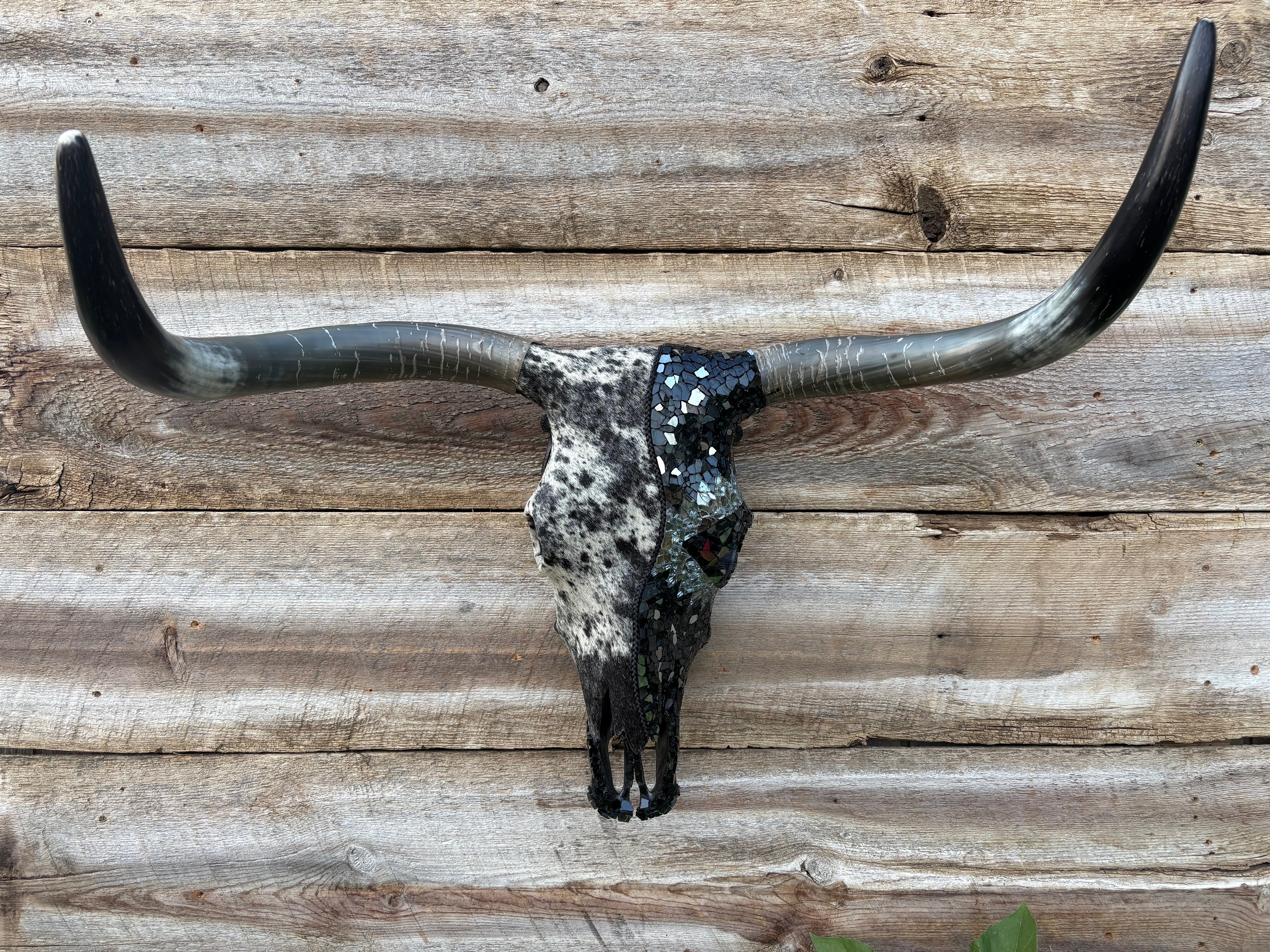 Blue Roan Hide & Black Aztec Glass