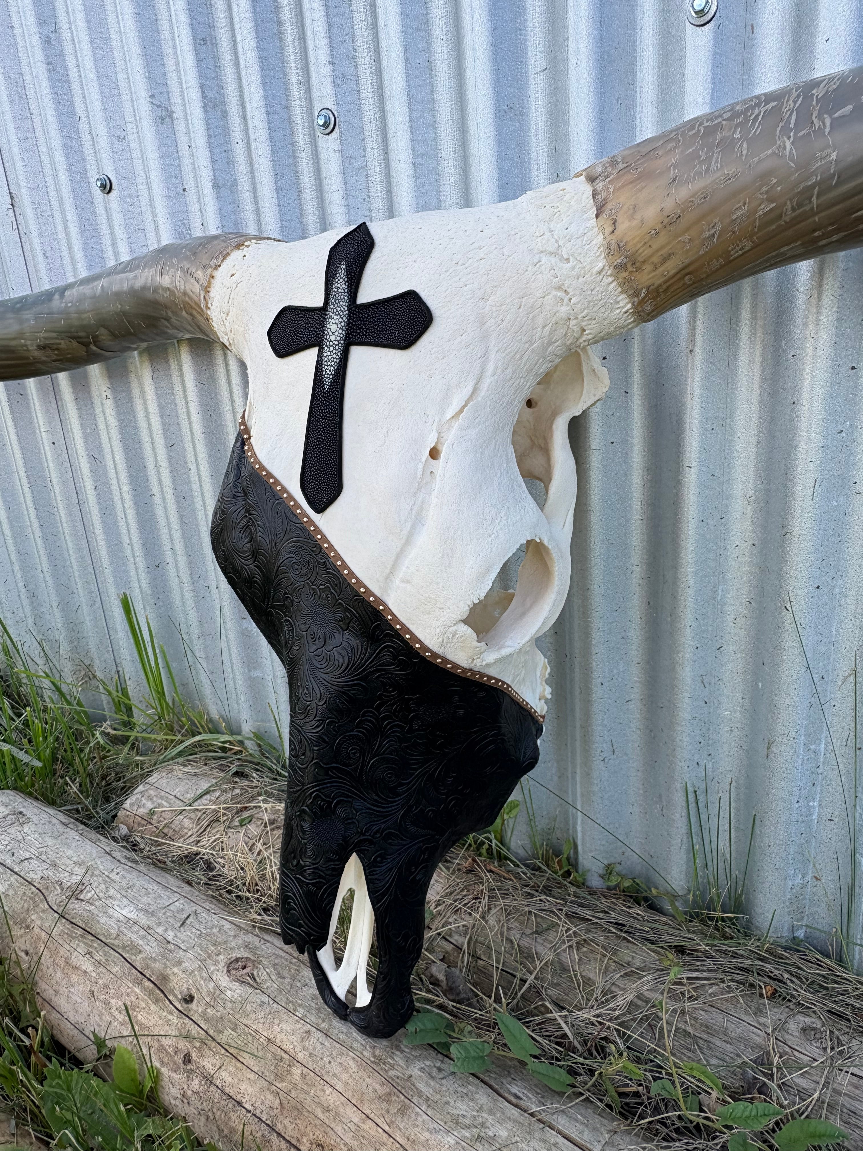 Black and White Longhorn