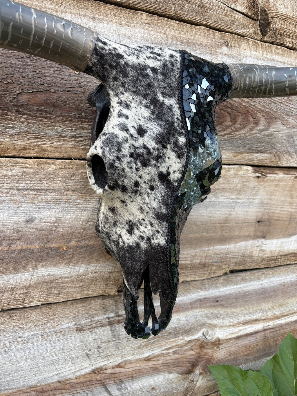 Blue Roan Hide & Black Aztec Glass
