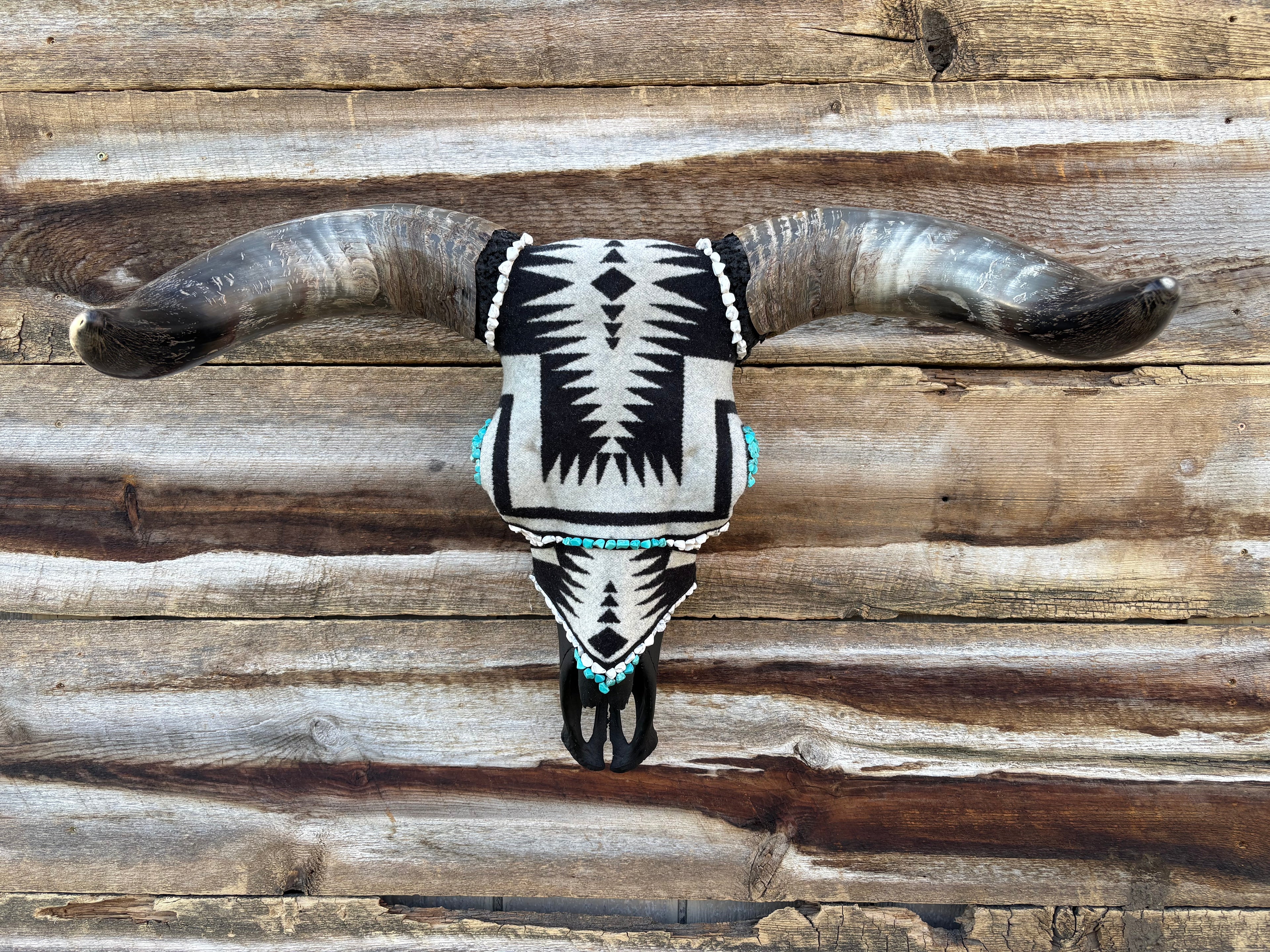 Black and White Pendleton Bull