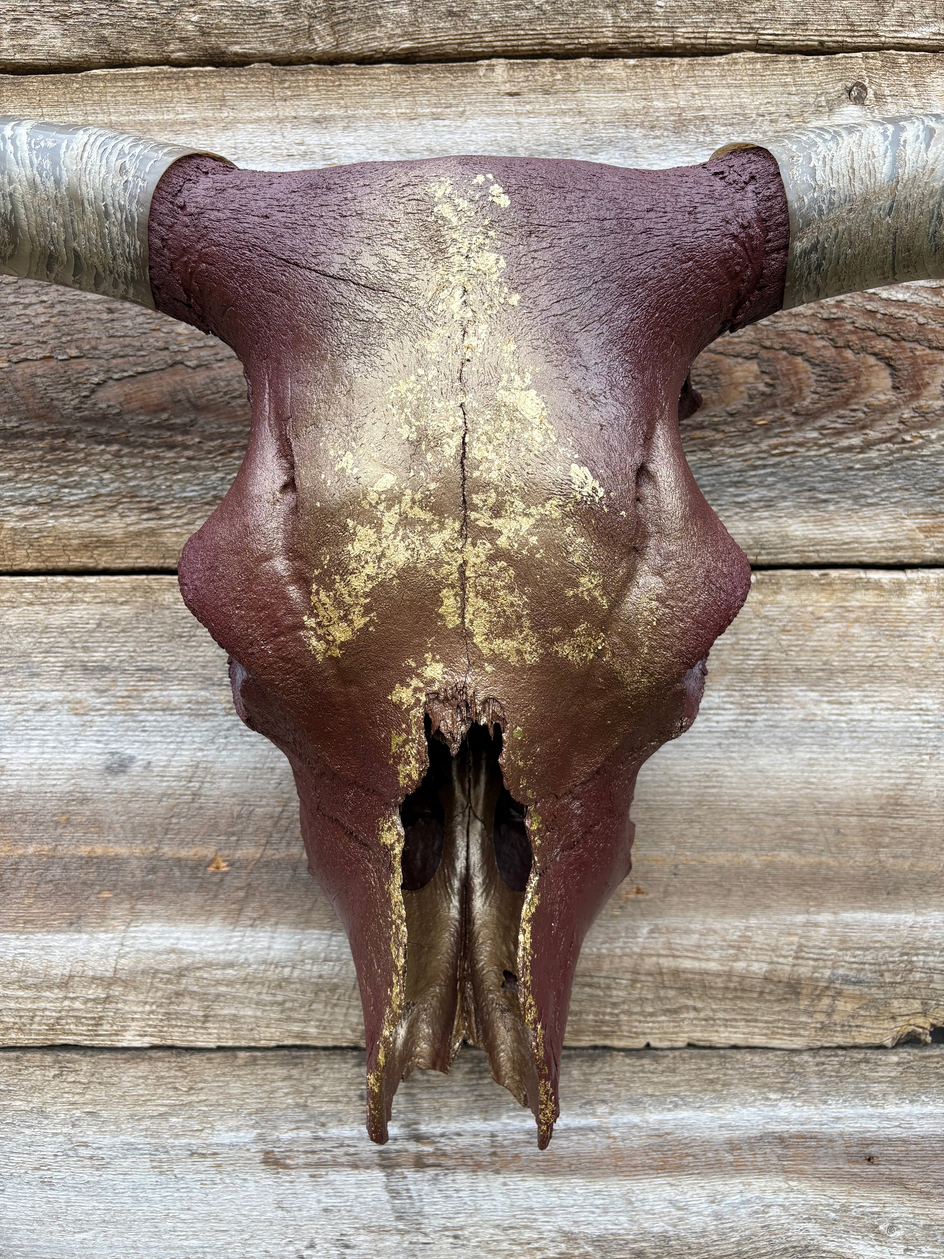 Maroon & Gold Longhorn