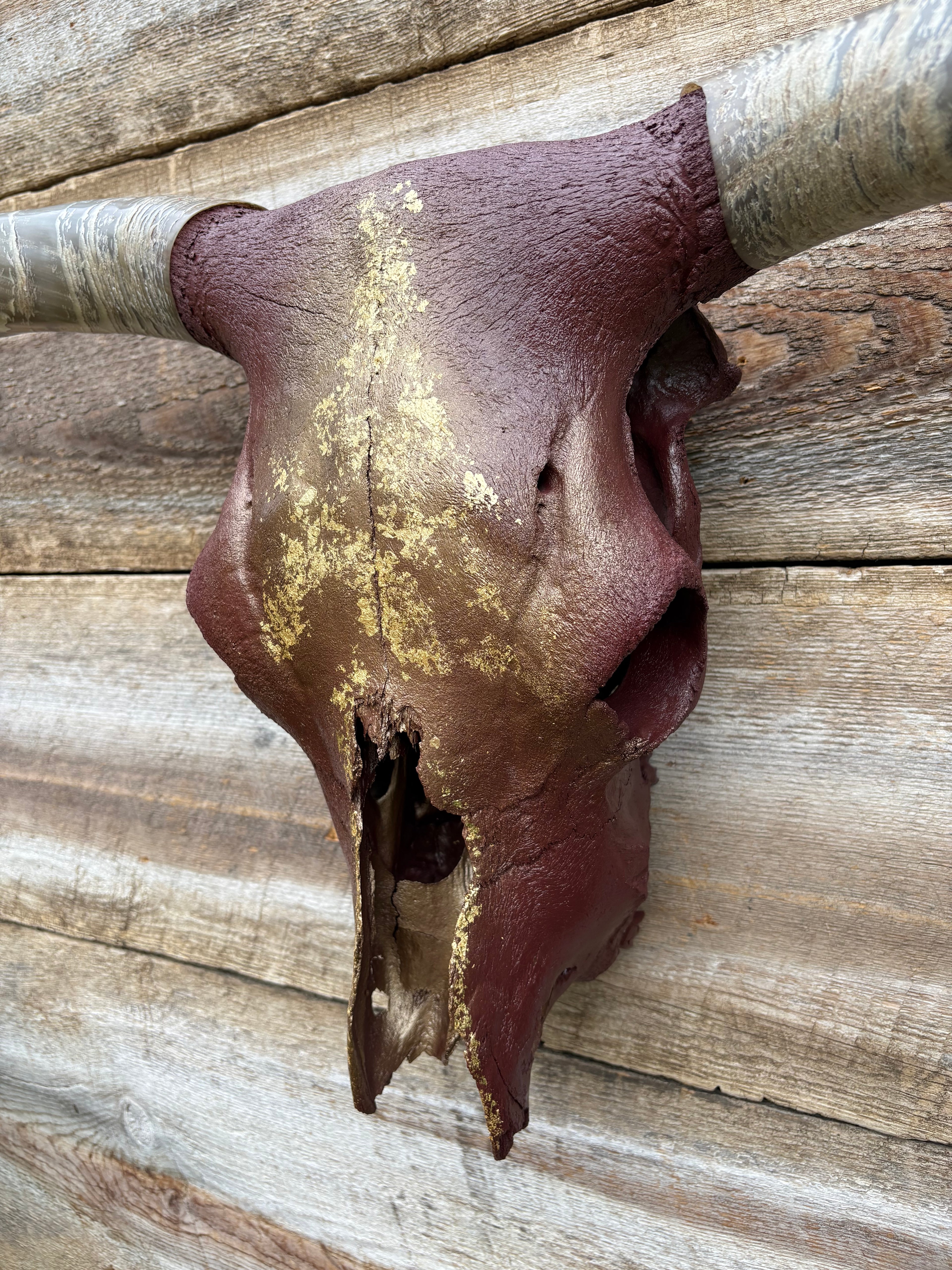 Maroon & Gold Longhorn