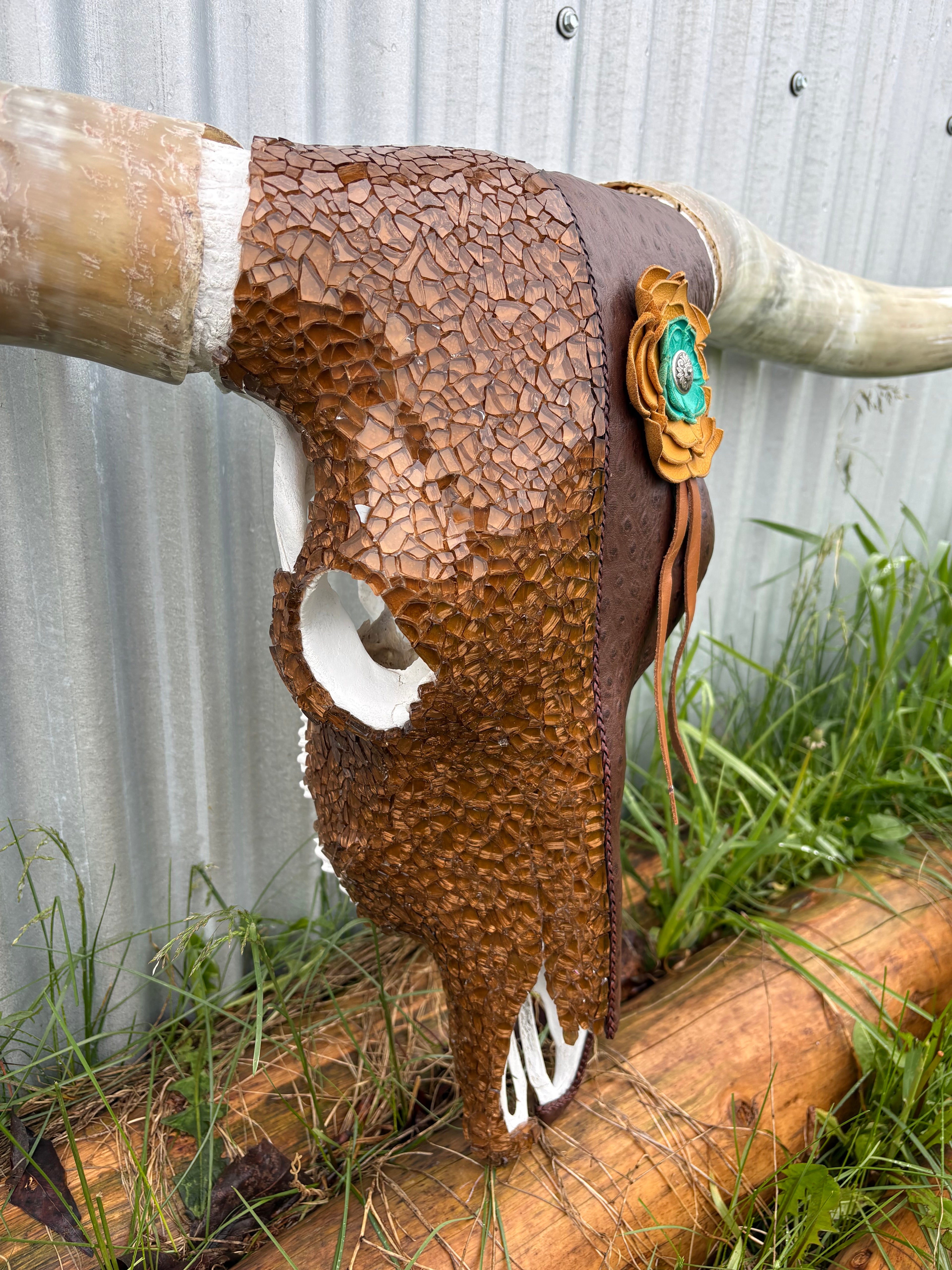 Ostrich and Glass Longhorn