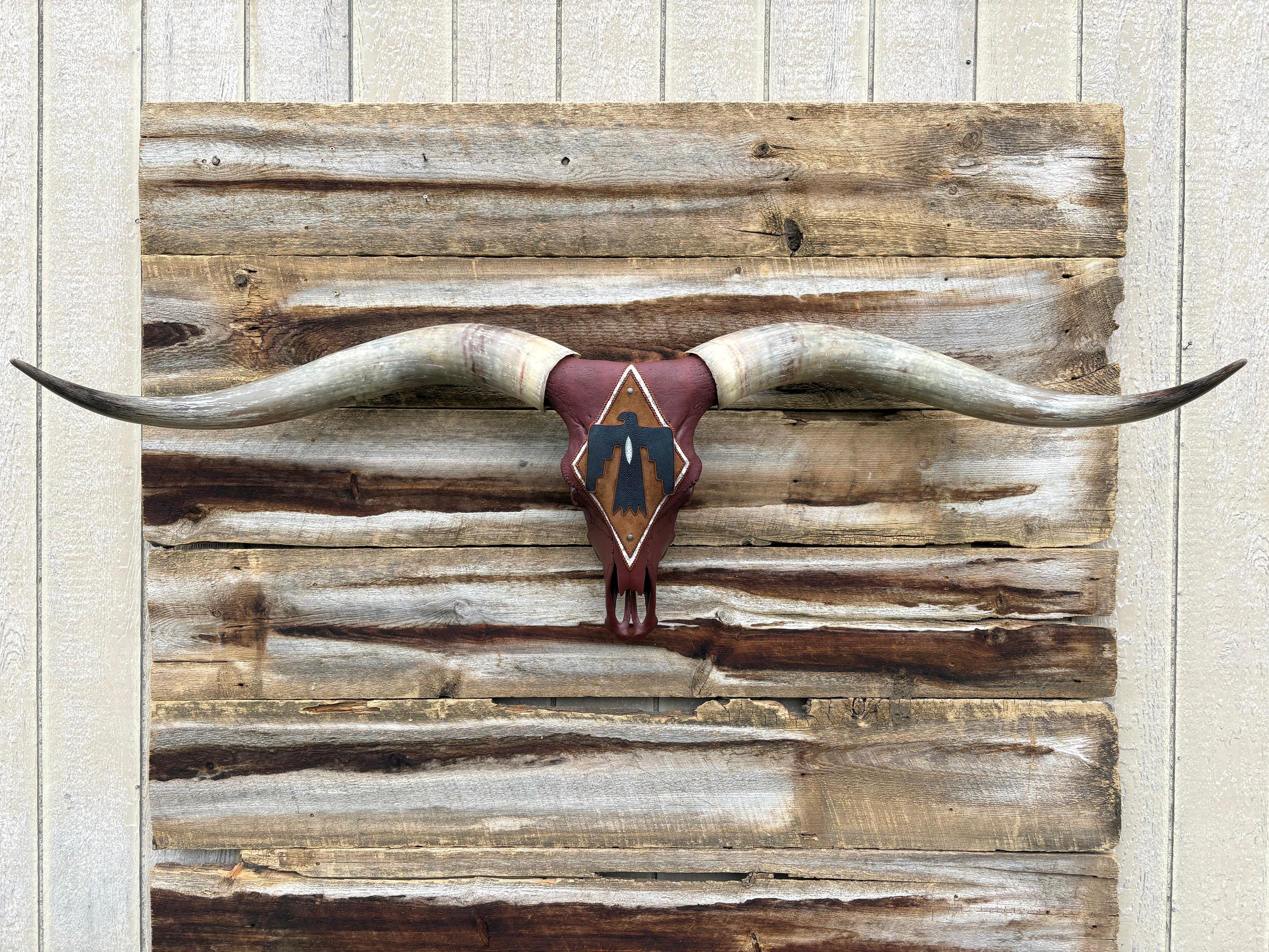 Maroon Thunderbird Longhorn