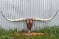 Ostrich and Glass Longhorn