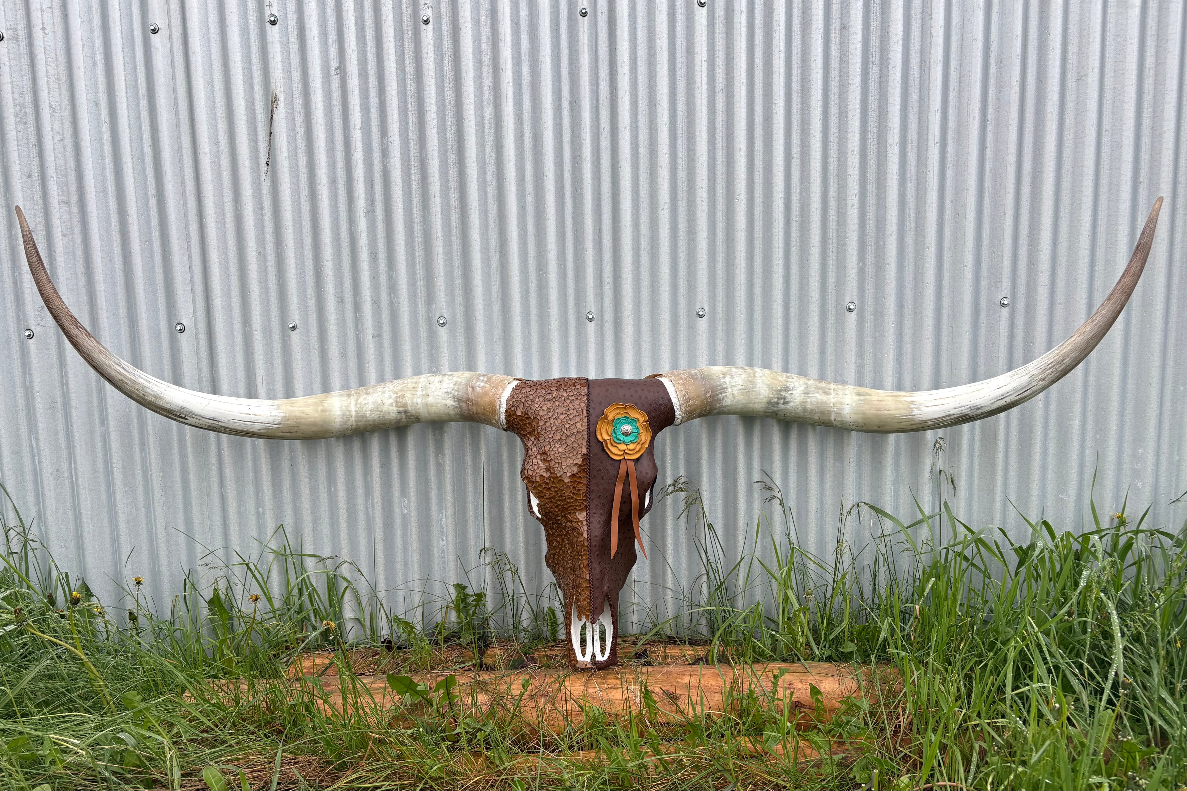 Ostrich and Glass Longhorn