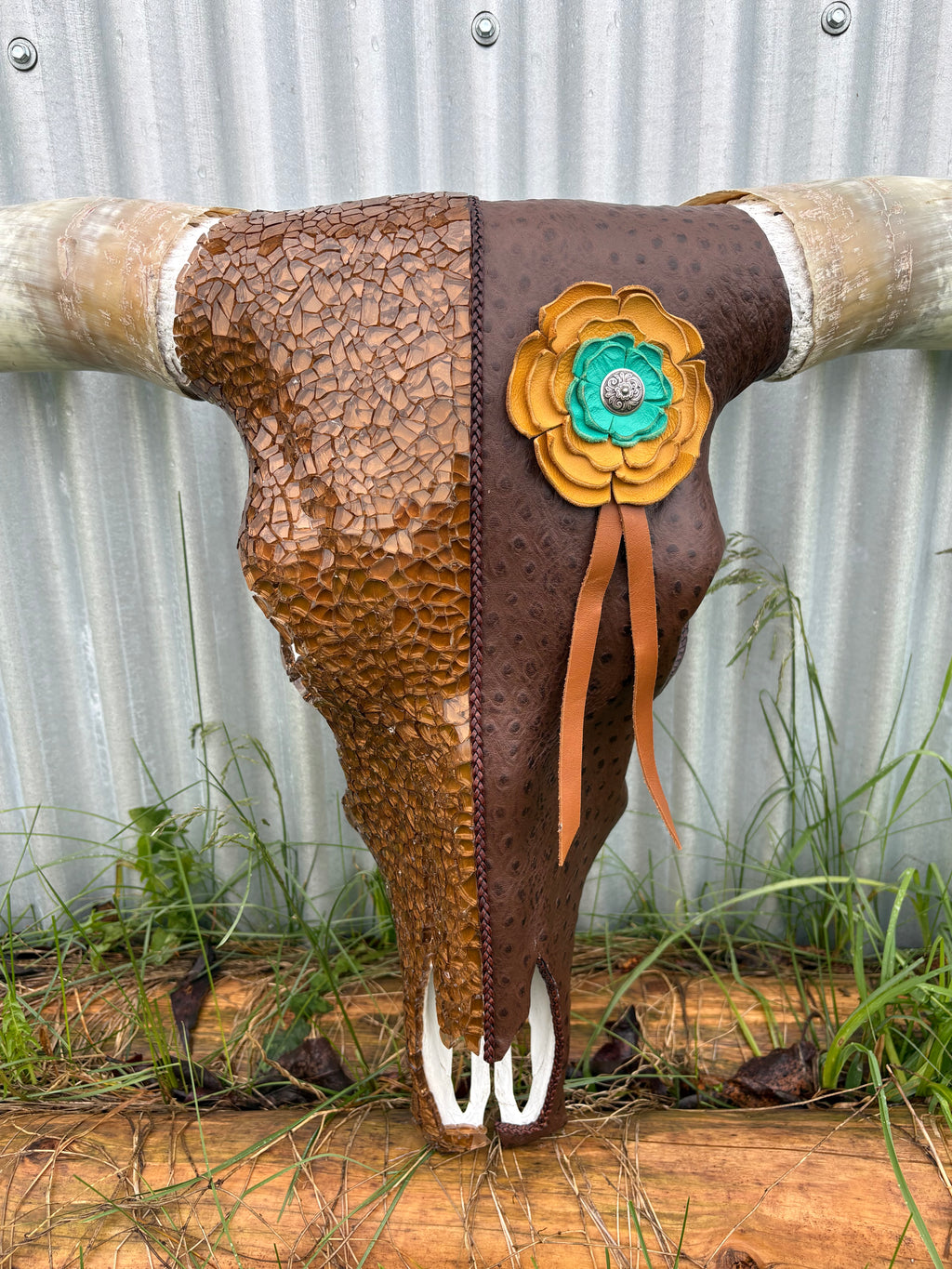 Ostrich and Glass Longhorn