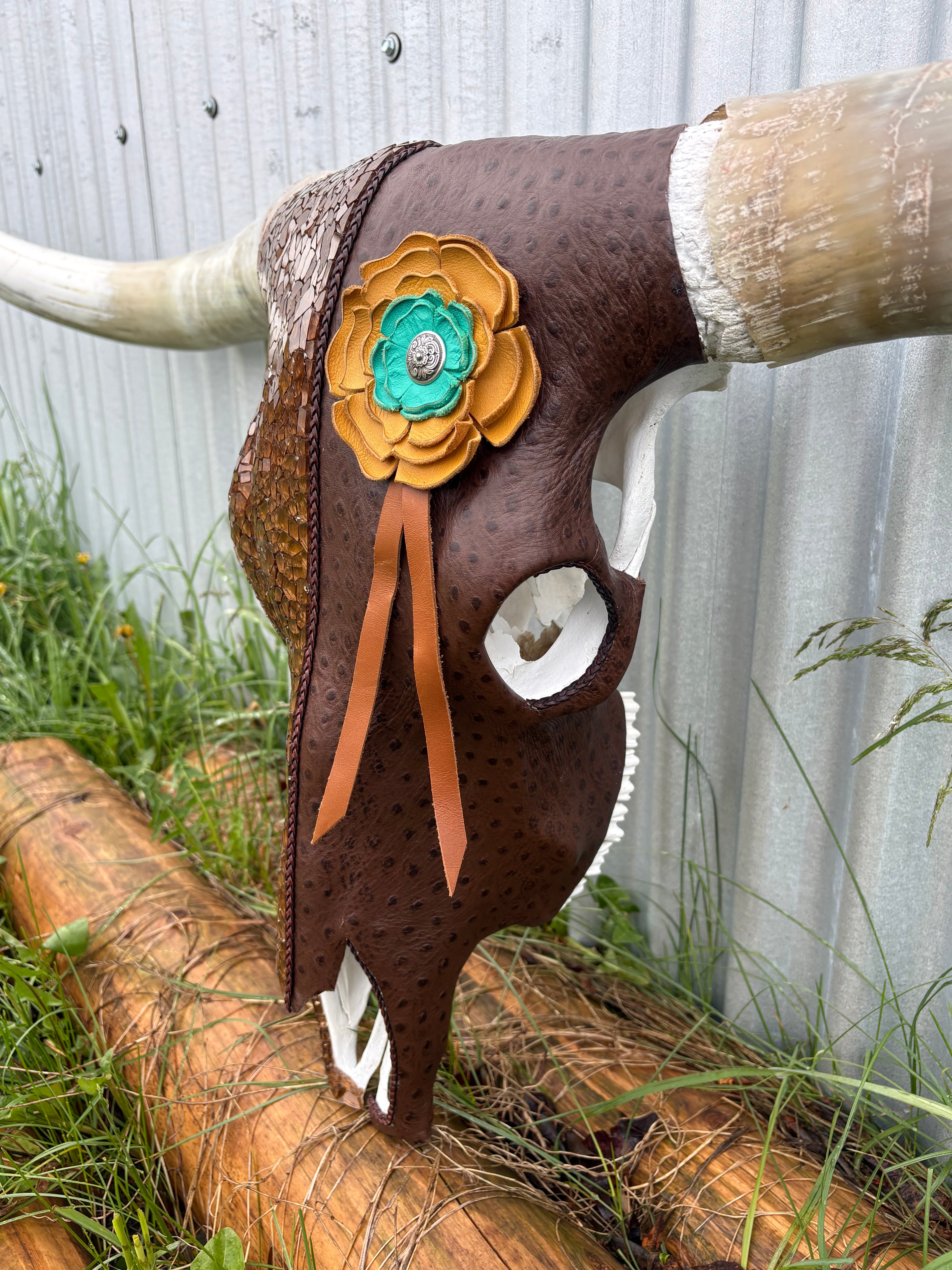 Ostrich and Glass Longhorn