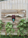 Maroon, Turquoise & Black Longhorn