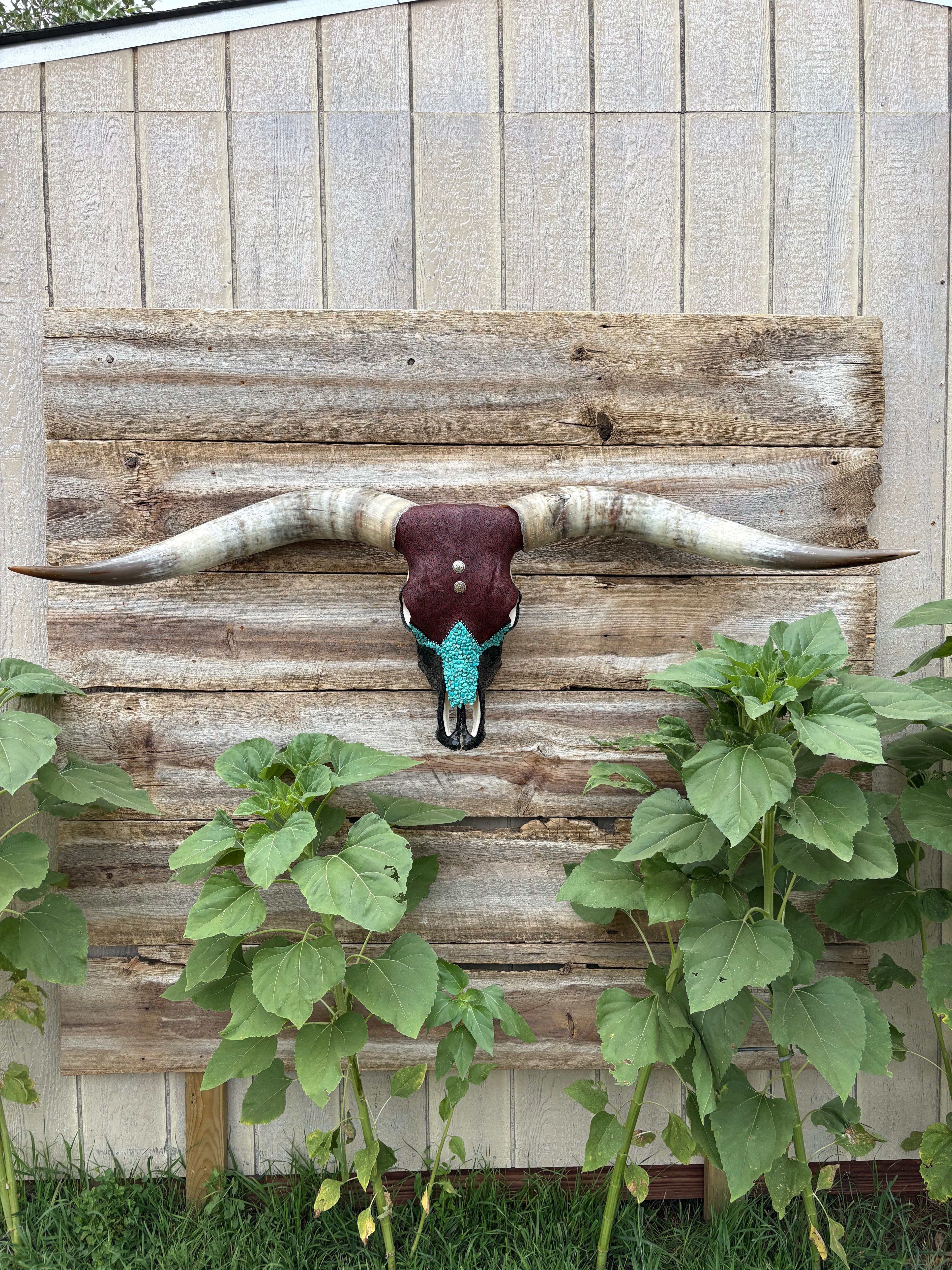 Maroon, Turquoise & Black Longhorn