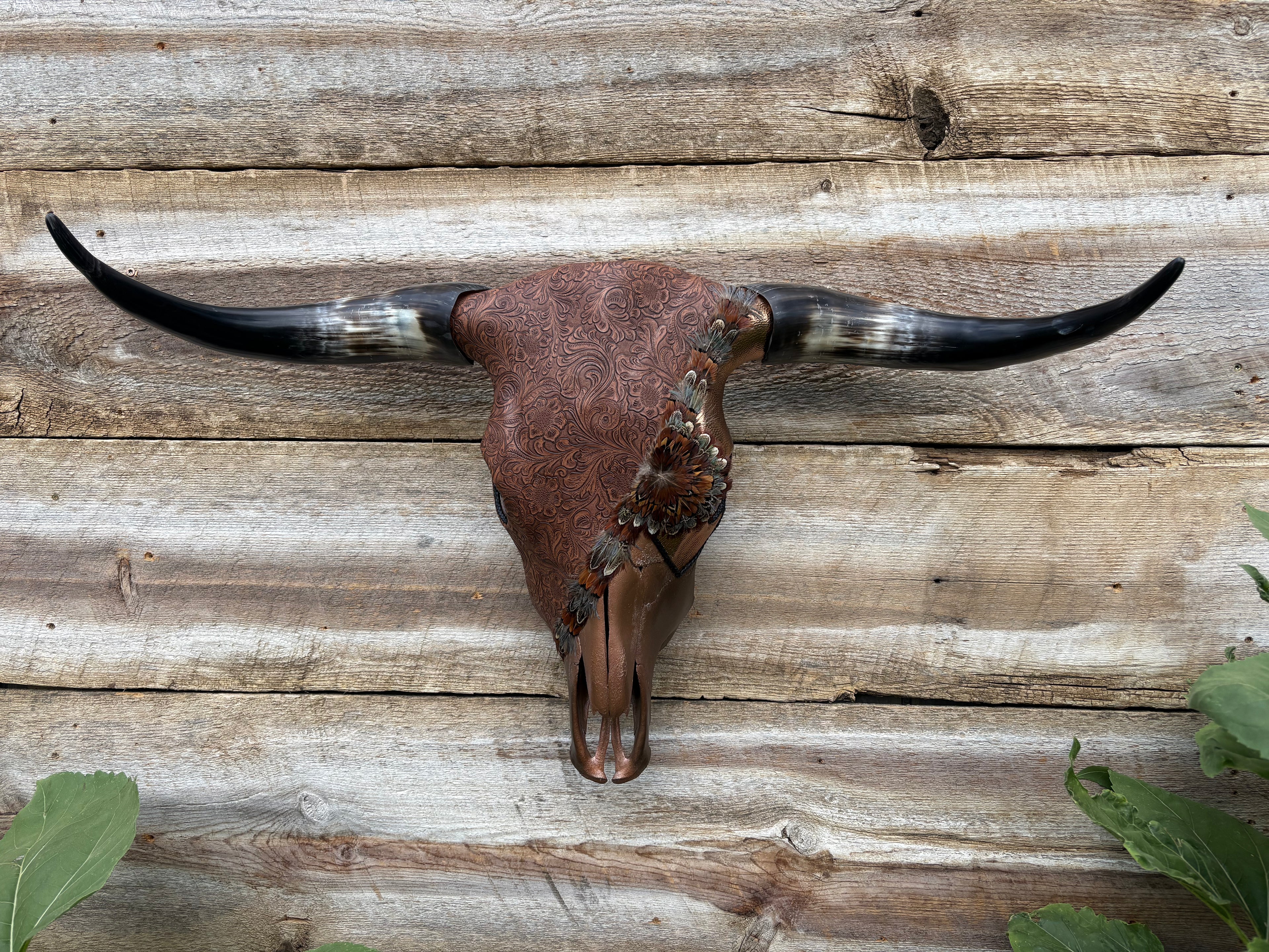 Brown and Gold Steer