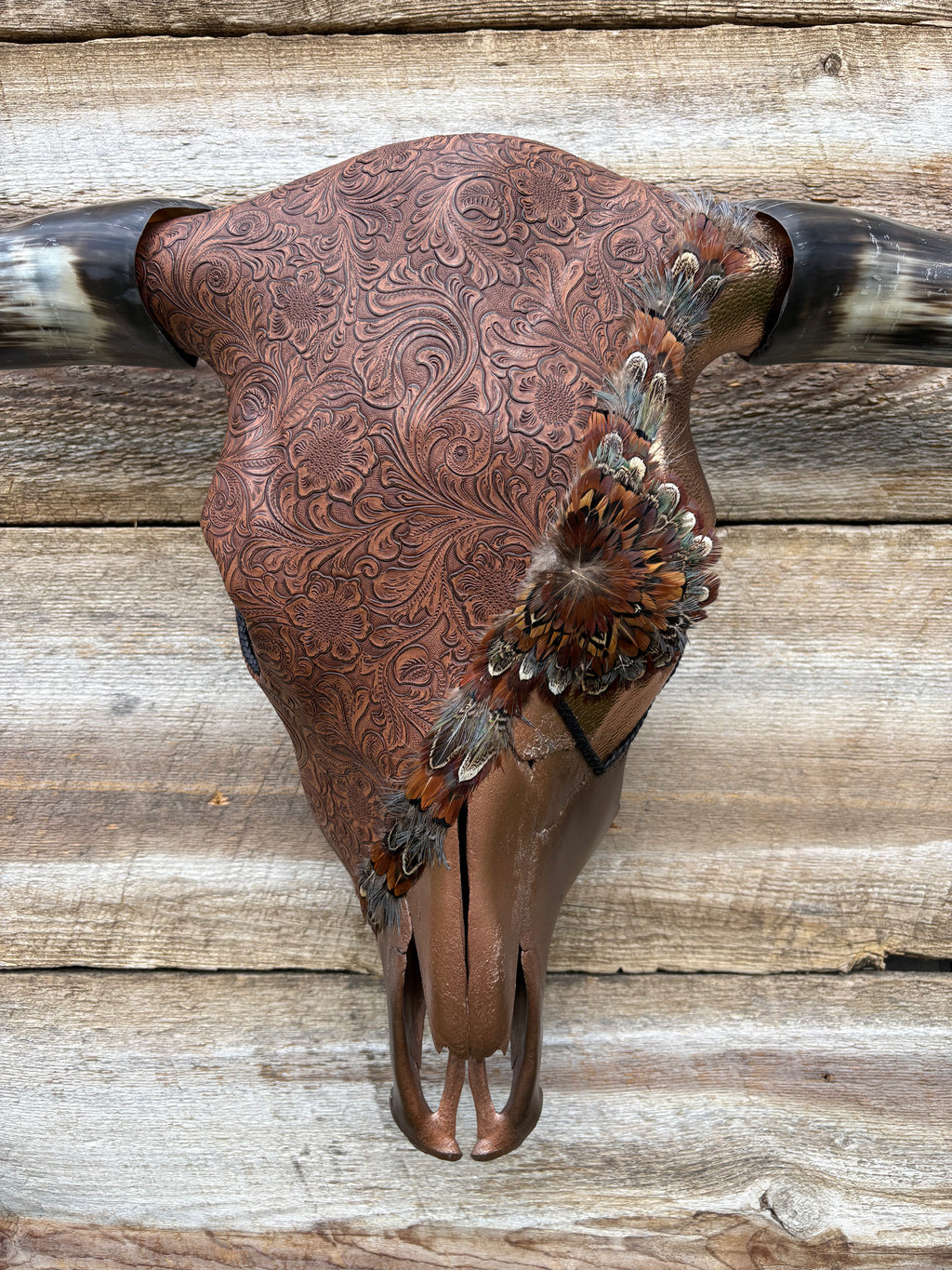 Brown and Gold Steer