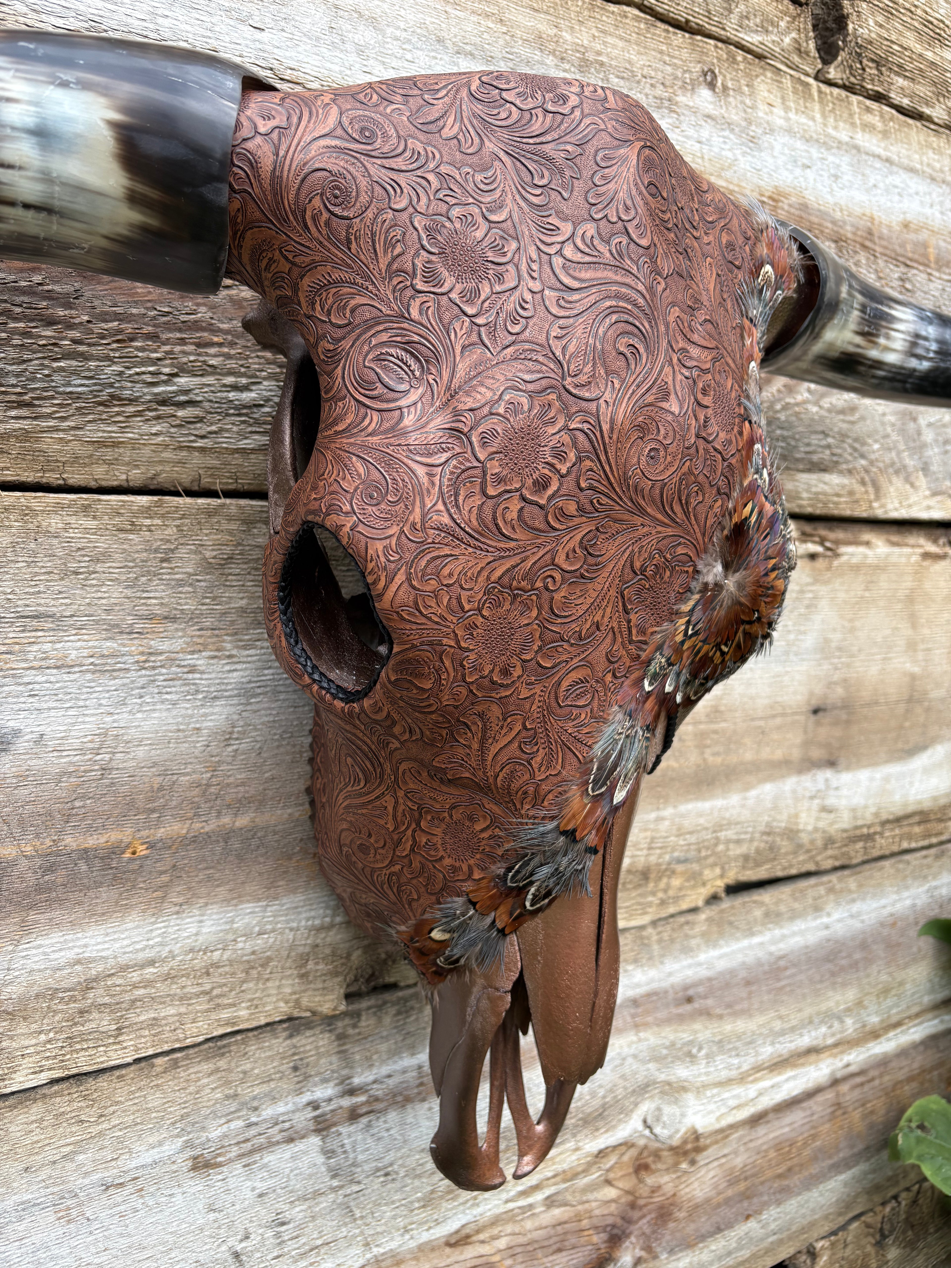 Brown and Gold Steer