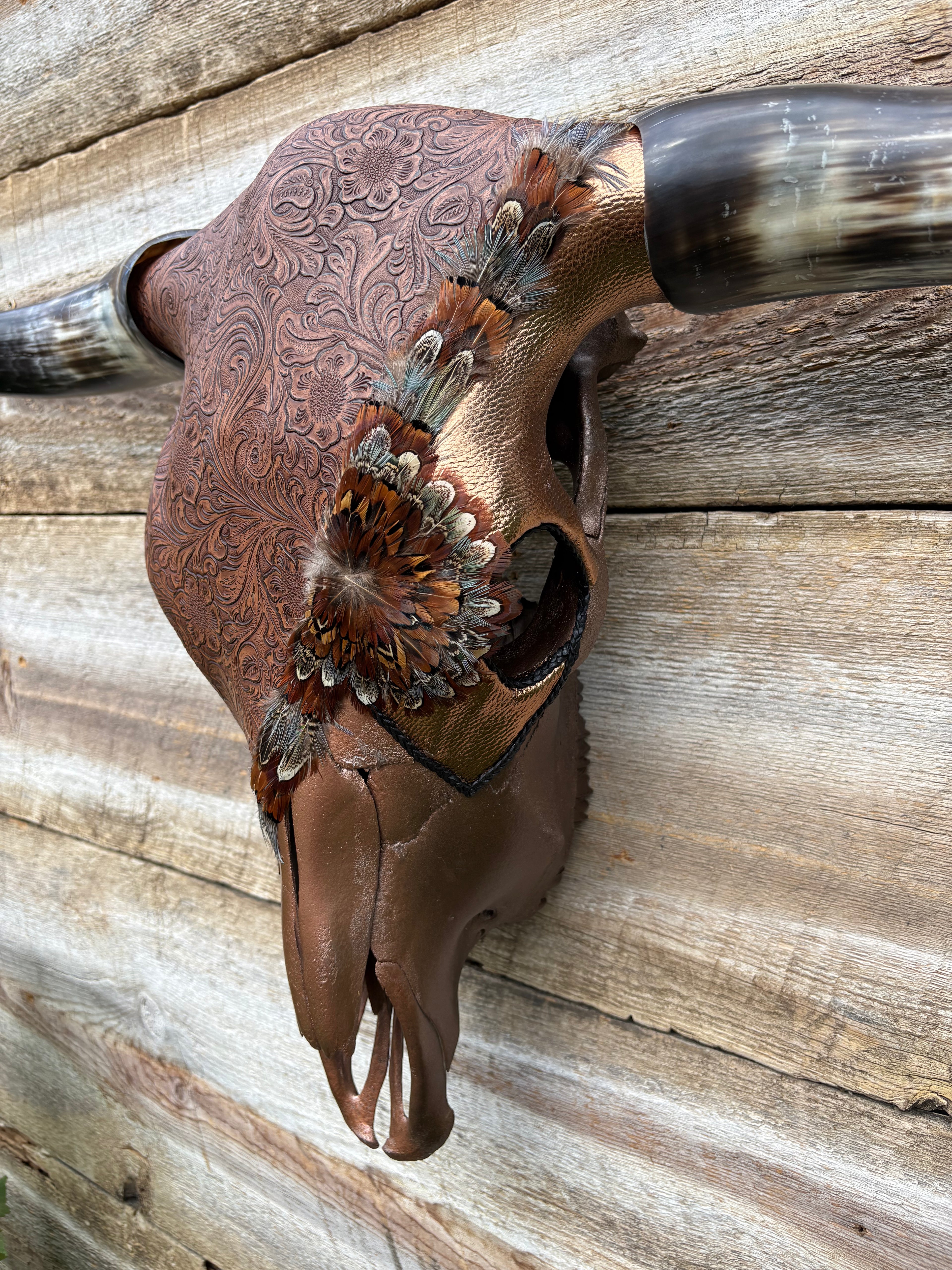 Brown and Gold Steer
