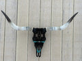 Black and Brown Pendleton Longhorn